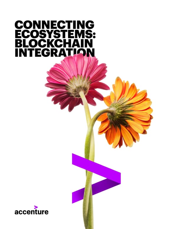 Connecting Ecosystems: Blockchain Integration - Page 1